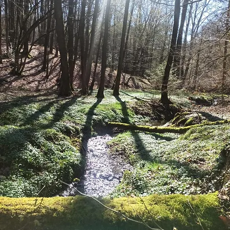 Wellness Biene Im Bergischen Land * Much